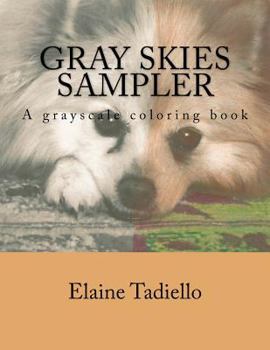 Paperback Gray Skies Sampler Book