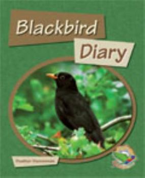 Black Bird Diary