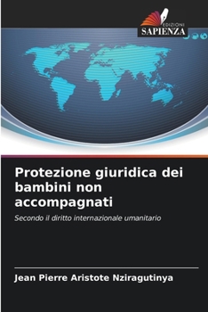 Protezione giuridica dei bambini non accompagnati (Italian Edition)