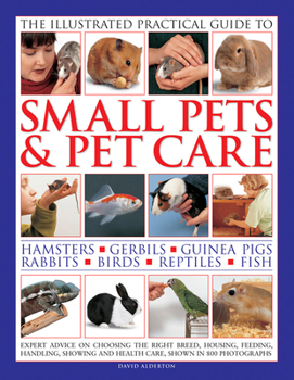 Hardcover The Illustrated Practical Guide to Small Pets & Pet Care: Hamsters, Gerbils, Guinea Pigs, Rabbits, Birds, Reptiles, Fish Book