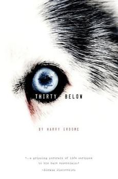 Paperback Thirty Below Book