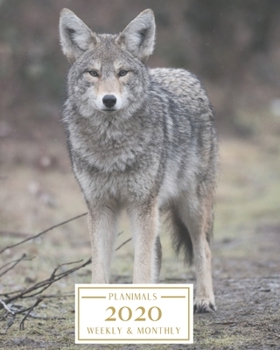 Paperback 2020: Weekly and Monthly Planner/Calendar Jan 2020 - Dec 2020 Gray Wolf Book