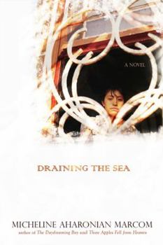 Hardcover Draining the Sea Book