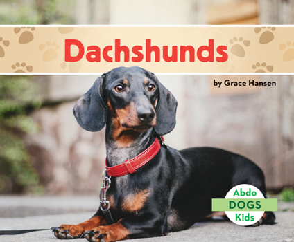 Library Binding Dachshunds Book