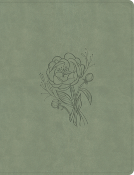Imitation Leather KJV Notetaking Bible, Large Print Edition, Sage Suedesoft Leathertouch Book