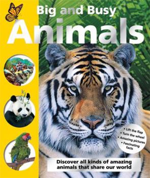 Hardcover Big and Busy Animals Book