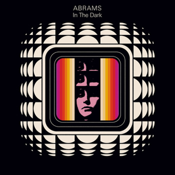 Vinyl Abrams   In The Dark Book
