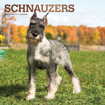 Calendar Schnauzers 2021 Square Foil Book