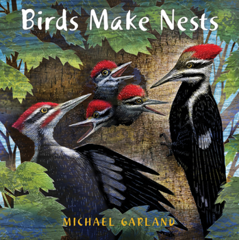 Hardcover Birds Make Nests Book