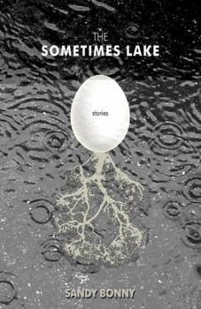Paperback The Sometimes Lake Book