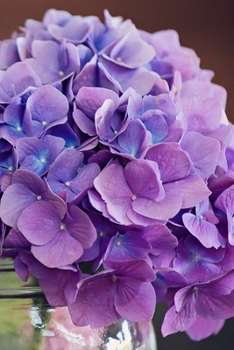 Paperback Thoughts: A Blank Lined Journal for Writing, Gratitude, and Prayers - Beautiful Hydrangea Photography Floral Design Book