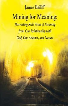 Paperback Mining for Meaning Book