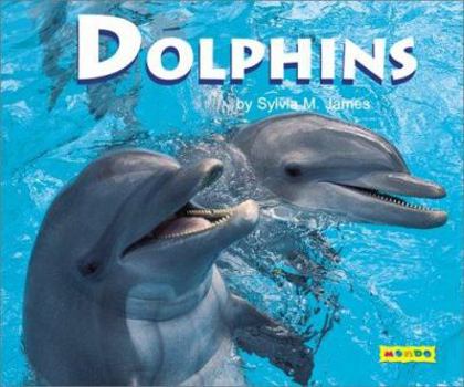 Paperback Dolphins Book