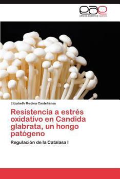 Resistencia a estrés oxidativo en Candida glabrata, un hongo patógeno: Regulación de la Catalasa I