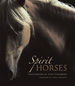 Hardcover Spirit Horses Book