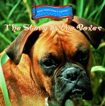 Library Binding The Story of the Boxer Book