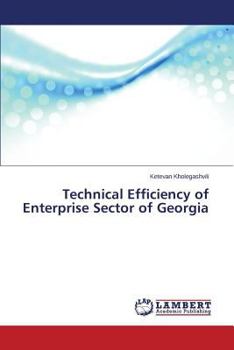 Paperback Technical Efficiency of Enterprise Sector of Georgia Book