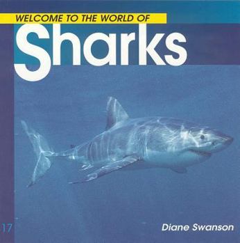 Paperback Welcome to the World of Sharks Book