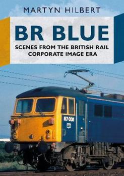 Paperback BR Blue Book