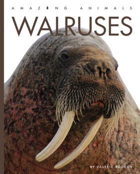 Walruses - Book  of the Animals are Amazing