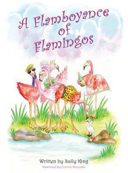 Hardcover A Flamboyance of Flamingos Book