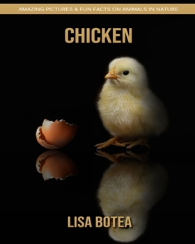 Paperback Chicken: Amazing Pictures & Fun Facts on Animals in Nature Book