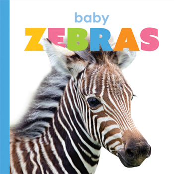 Cebras Beb�s - Book  of the Starting Out