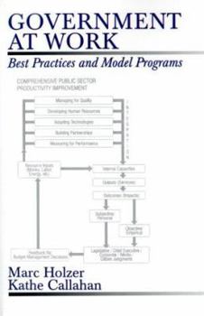 Paperback Government at Work: Best Practices and Model Programs Book