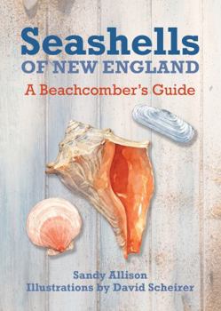 Paperback Seashells of New England: A Beachcomber's Guide Book