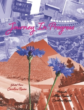 Paperback Journey In Progress Book
