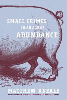 Hardcover Small Crimes in an Age of Abundance Book