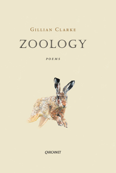 Paperback Zoology Book