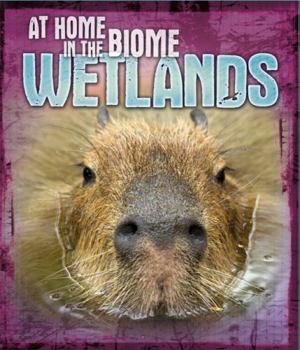 Hardcover At Home In The Biome Wetlands Book