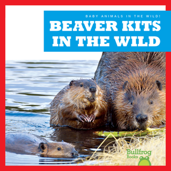 Paperback Beaver Kits in the Wild Book
