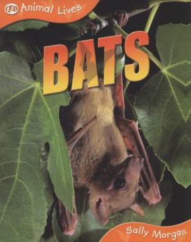 Paperback Bats (Animal Lives) Book