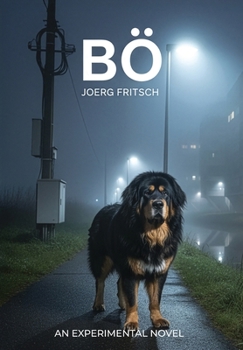 Hardcover Bö and the Bedrock Pitch: An Experimental Novel Book