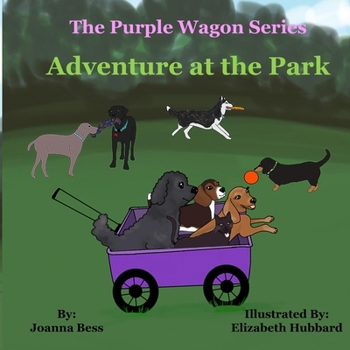 Paperback Adventure at the Park Book