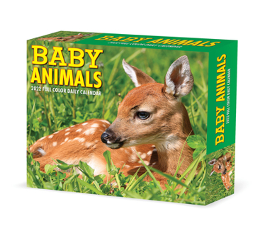 Calendar Baby Animals 2022 Box Calendar, Daily Desktop Book