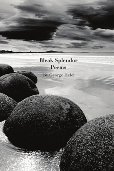 Paperback Bleak Splendor Book