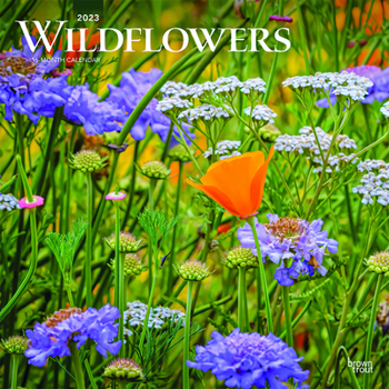 Calendar Wildflowers 2023 Square Book