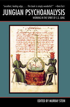 Paperback Jungian Psychoanalysis: Working in the Spirit of C.G. Jung Book