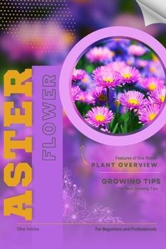 Aster: Flower overview and Growing Tips