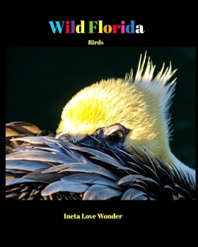 Paperback Wild Florida: Birds Book