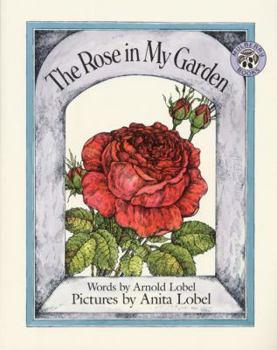 Paperback The Rose in My Garden Book