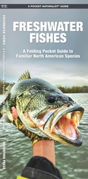 Pamphlet Freshwater Fishes: An Introduction to Familiar North American Species Book