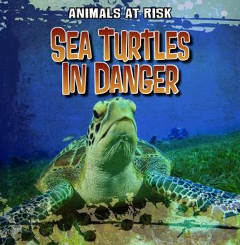 Library Binding Sea Turtles in Danger Book