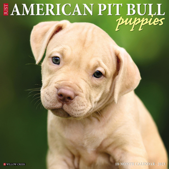 Calendar Just American Pit Bull Terrier Puppies 2023 Wall Calendar Book