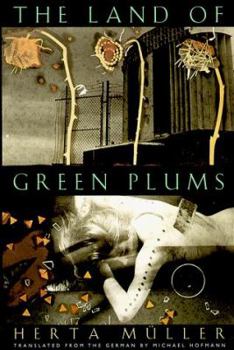 Paperback The Land of Green Plums Book