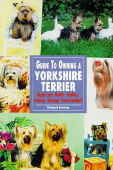 Paperback Guide to Own Yorkshire Terrier Book