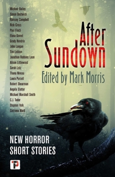 Hardcover After Sundown Book